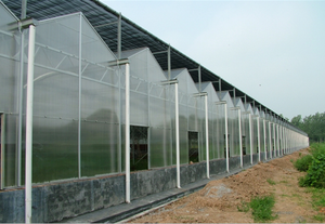 Usine prix <span class=keywords><strong>lexan</strong></span> transparent en <span class=keywords><strong>plastique</strong></span> pour effet de serre - Product Image 2