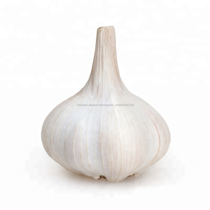 China <span class=keywords><strong>elefante</strong></span> de <span class=keywords><strong>ajo</strong></span> blanco fresco de 5 cm, 7 kg bolsa de malla para la <span class=keywords><strong>venta</strong></span> - Product Image 3
