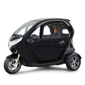 Chinese Factory Hot Sale 3 wheel car 3 Wheel fully closed Mini Adults Handicapped Electric Tricycle with EEC certificate