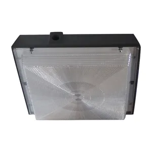 50 Watt con copertura Pc filtro UV led baldacchino luce