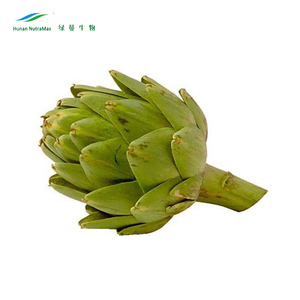 Bột Atisô Khô Thực Phẩm Sức Khỏe Giá Xuất Xưởng Chiết Xuất Axit Chlorogenic 5% - Product Image 4