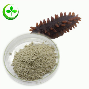 Organik denizhıyarı özü tozu - Product Image 2