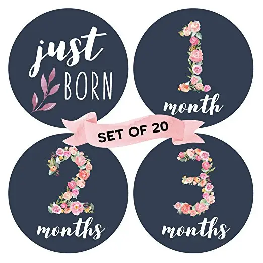 공장 직접 공급 꽃 아기 월간 이정표 스티커 (20 세트)-12 개월 출생 + 7 보너스 달성 스티커