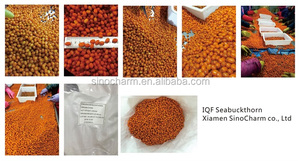 BRC — burrets de mer certifié IQF, fruits glaces, boucle de mer - Product Image 5