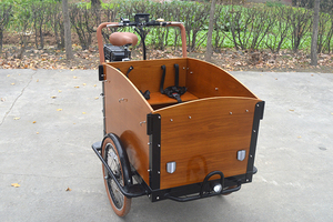 Compras <span class=keywords><strong>Bicicleta</strong></span> Eléctrica De Carga de La Familia urbana con <span class=keywords><strong>Caja</strong></span> de Transporte - Product Image 6