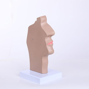 Haute qualité PVC 3D modèle grandeur nature squelette naturel <span class=keywords><strong>anatomie</strong></span> infirmière formation pour coeur humain gorge <span class=keywords><strong>poumon</strong></span> globe oculaire <span class=keywords><strong>anatomie</strong></span> - Product Image 4
