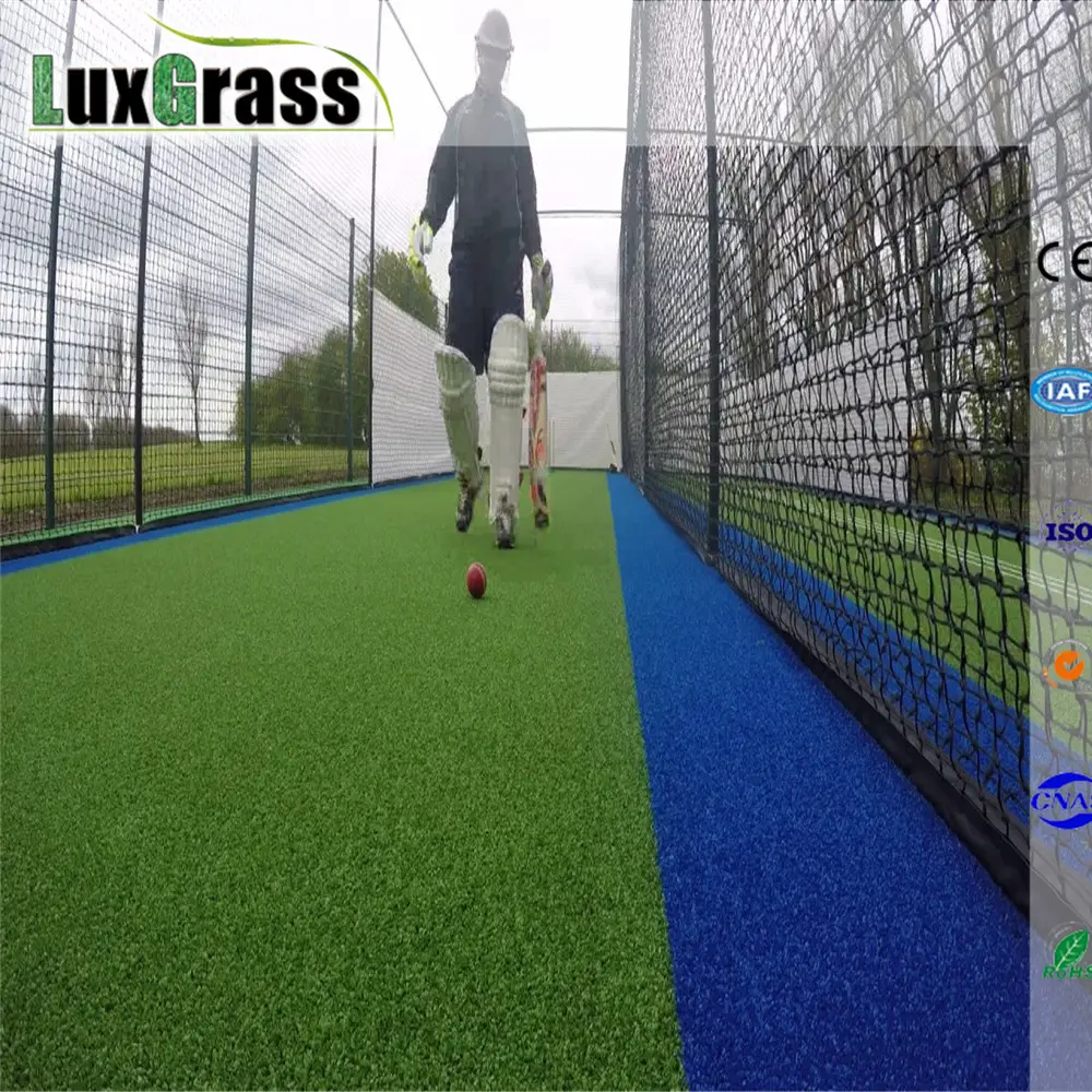 rather high density non turf synthetic grass for cricket pitch
