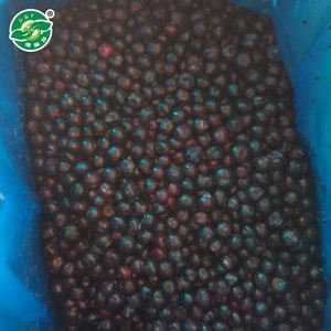 En vrac de masse Bon Goût organique délicieux congelés iqf bleuets prix - Product Image 2