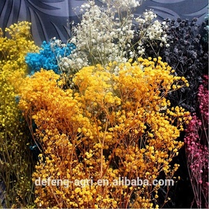 フェスティバルギフト永遠の生花ベビーブレス - Product Image 4