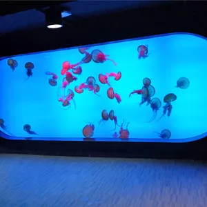 the Most Experienced Suppliers of Jellyfish Aquarium