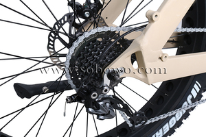 <span class=keywords><strong>Vélo</strong></span> de montagne <span class=keywords><strong>électrique</strong></span> Big Power Mid Drive 48v gros pneu e <span class=keywords><strong>vélo</strong></span> de ville croiseur de plage 750w bafang croiseur de plage ebike - Product Image 6