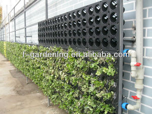 Jardineras de sistema de <span class=keywords><strong>pared</strong></span> verdes para jardín Vertical decorativas para exteriores, macetero de <span class=keywords><strong>pared</strong></span> verde Vertical, macetero Greenwall - Product Image 2