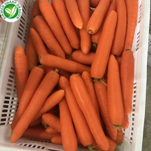 Bán Buôn Đông Lạnh Cà Rốt Giá Rẻ Xuất Khẩu Chất Lượng Cao Đông Lạnh Rau - Product Image 5