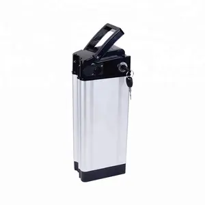 rechargeable big silver fish 18650 lithium 20ah 48v 1000w hidden ebike battery