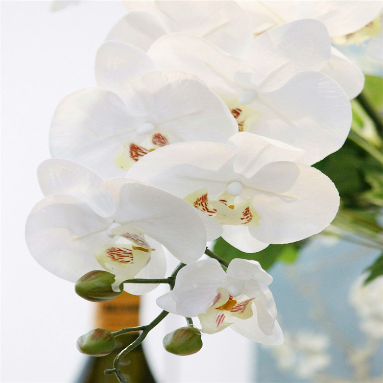 Blanc