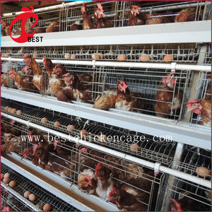 Venta caliente malla de alambre soldado con autógena batería capa de granja para sri lanka aves de caza jaula de pollo con gran precio - Product Image 4