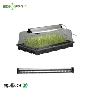 Seed Starting Box No Holes Fodder System Starter Propagator Plant Propagation Germination Tray