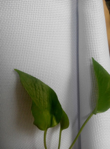 <span class=keywords><strong>Classique</strong></span> Coton Réserve Brodé Aida Tissu Au Point <span class=keywords><strong>De</strong></span> Croix Point <span class=keywords><strong>De</strong></span> Croix, blanc, 14 Compter - Product Image 2