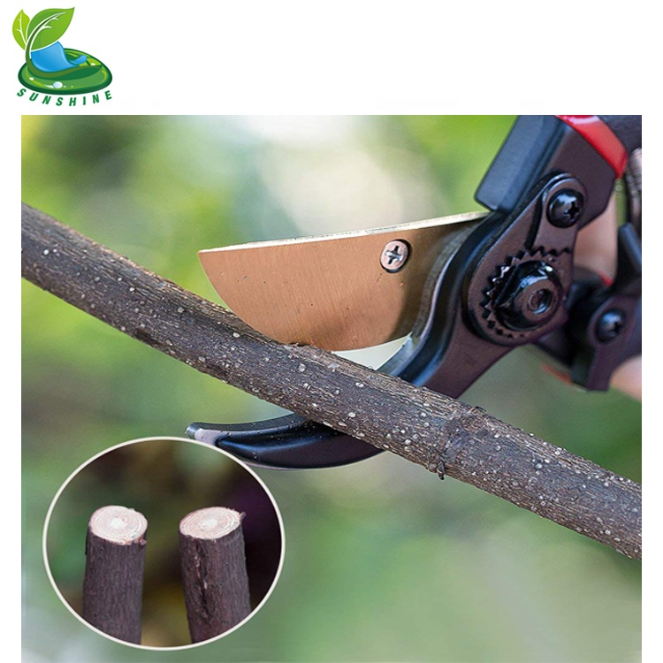 Садовые ножницы садовые обходные Секаторы и эргономичный фруктовых деревьев цветок резак прививка садовые ножницы