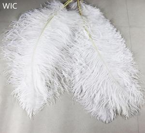 Pluma de avestruz de 55-60cm, Plume blanco de importación para boda, Carnaval, decoración, calidad prémium, venta al por mayor - Product Image 6