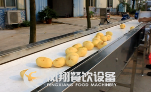 Industriële inspectie tafel voor groente en <span class=keywords><strong>fruit</strong></span> CY-1000 - Product Image 4