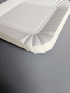 Assiettes <span class=keywords><strong>de</strong></span> <span class=keywords><strong>table</strong></span> jetables en papier, toutes tailles, assiettes à dîner bon marché pour fête <span class=keywords><strong>de</strong></span> noël - Product Image 6