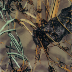 Ngụy Trang Phim Chuyển Nước PVA Số MA740-2 Phim Đồ Họa Thủy Văn Cho Sơn Thủy Văn Nhúng In Chất Lỏng - Product Image 5