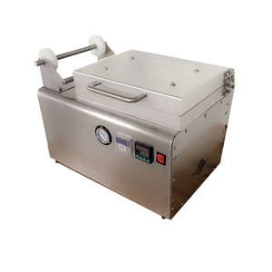 Máquina de Envasado al Vacío para Alimentos, Mini, para Carne, Queso y Otros Alimentos - Product Image 2