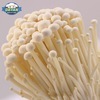 Detan свежие <span class=keywords><strong>Flammulina</strong></span> <span class=keywords><strong>velutipes</strong></span> гриб - Product Image 1