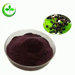 Chiết Xuất Từ Quả Mọng Đen Nguyên Chất 100% Bột Anthocyanin