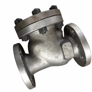 6 Inch Stainless Steel Check Valve Swing Check Valves