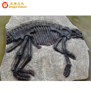 Museo al por mayor fósiles imitación MODELO DE trilobites - Product Image 3