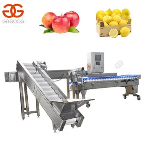 Automatische Zwaartekracht Sorter Apple Grading Fruit Sorteren Machine