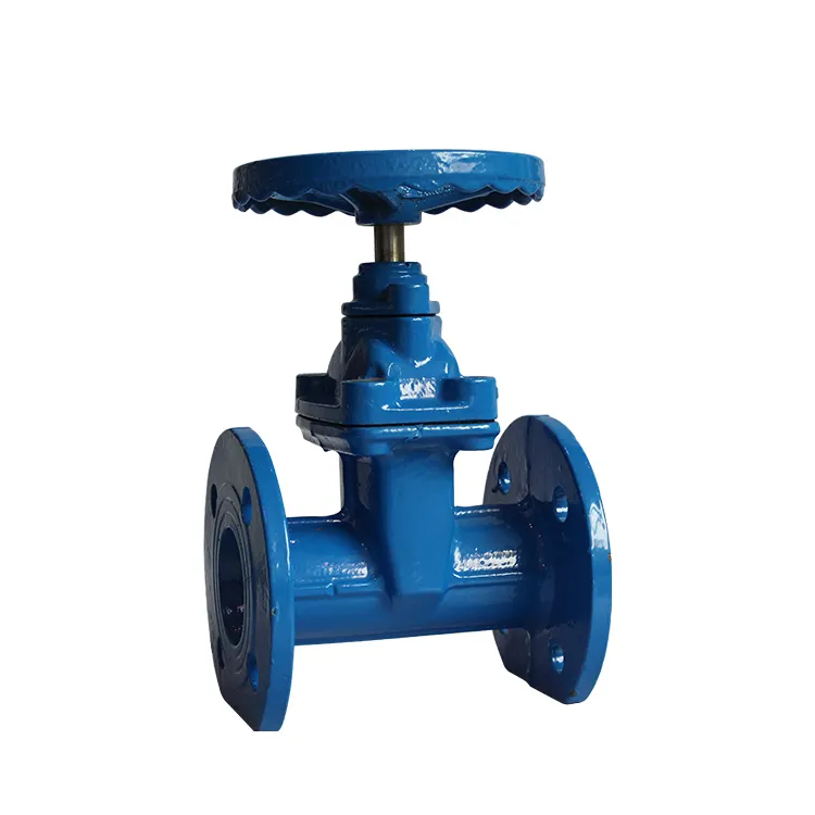 COVNA Industrial GB 2 Way 2 Inch Cast Iron Water Large Flange Manual Gate Valve