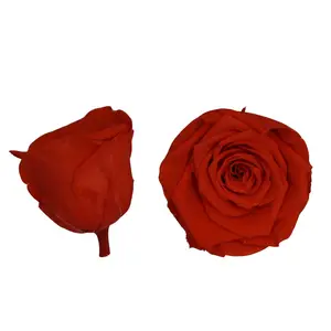 High Grade Florist Supplies Preserved flower Head Real Touch Rose 2-3cm Manufacturer
