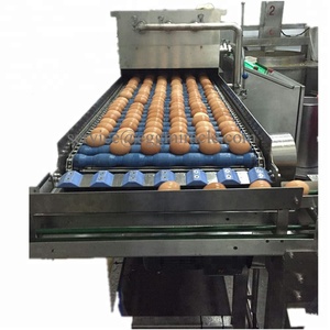 <strong>Egg</strong> Washer Cleaning Machine From Graded Chicken <strong>Egg</strong> Process Line