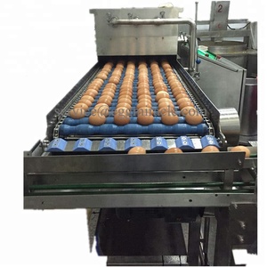 Egg Washer Cleaning Machine from Graded Chicken Egg Process Line