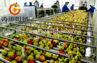 Apple Tomaat Sorteermachine/Aardappel Sorteren Machine/Fruit Sorteren Verwerking Machine Met Beste Prijs