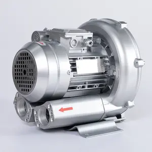 0.55kw 100 m3/h piccolo ventilatore d'aria ad alta velocità per il trattamento delle acque reflue del digestore di biogas