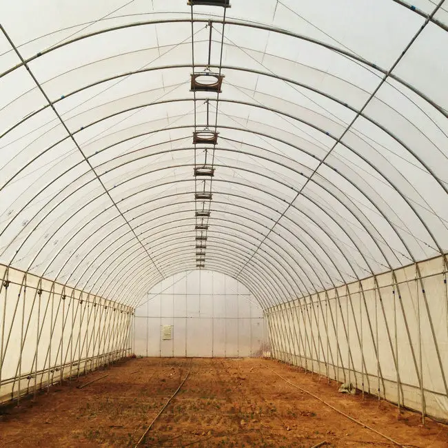 Sıcak satış tünel sera tarım Invernadero