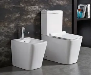 ceramic toilet bowl/ types of water closet toilet/ two piece toilet