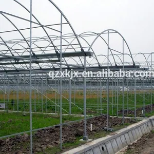 Multi span Agricultural greenhouse with Plastic film cover For vegetable and fruits on hot sale