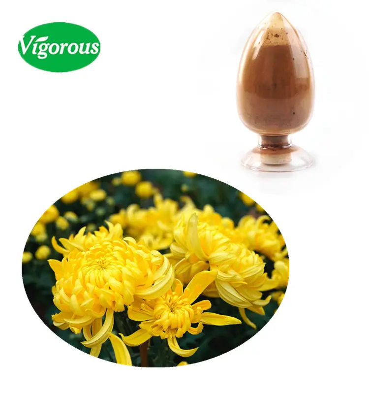 chrysanthemum extract/wild chrysanthemum extract/chrysanthemum flower extract