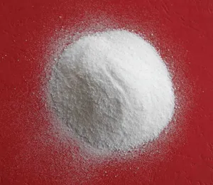 超高分子量聚乙烯粉 (UHMWPE 粉末)