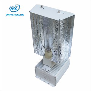 315 W CMH <span class=keywords><strong>Ballast</strong></span> Và 315 Watt Phát Triển Ánh Sáng Với 315 W Cmh Fixture - Product Image 3