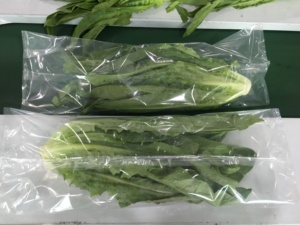 Taichuan <strong>Flow</strong> <strong>Wrapper</strong> Auomation Iceberg Lettuce Lettuce Packing <strong>Machine</strong> - Product Image 6