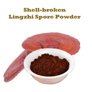 Гриб Рейши <span class=keywords><strong>Ganoderma</strong></span> <span class=keywords><strong>Lucidum</strong></span> Spore порошок - Product Image 2