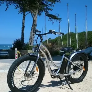 48 V 500 瓦海滩巡洋舰 Ebike Fat 轮胎电动自行车为妇女