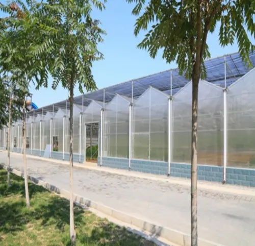 Mejor oferta de conversión luz agricultura de invernadero de plástico de policarbonato hoja de cubierta