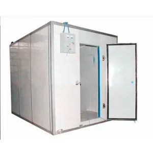 Famous Brand Insulated Panels For Cold Storage Prefabricated Small Cold Room Chicken Blast Freezer For Sale